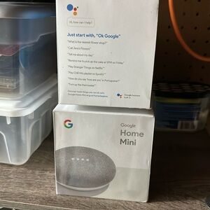Google Home Mini (Set of 2)